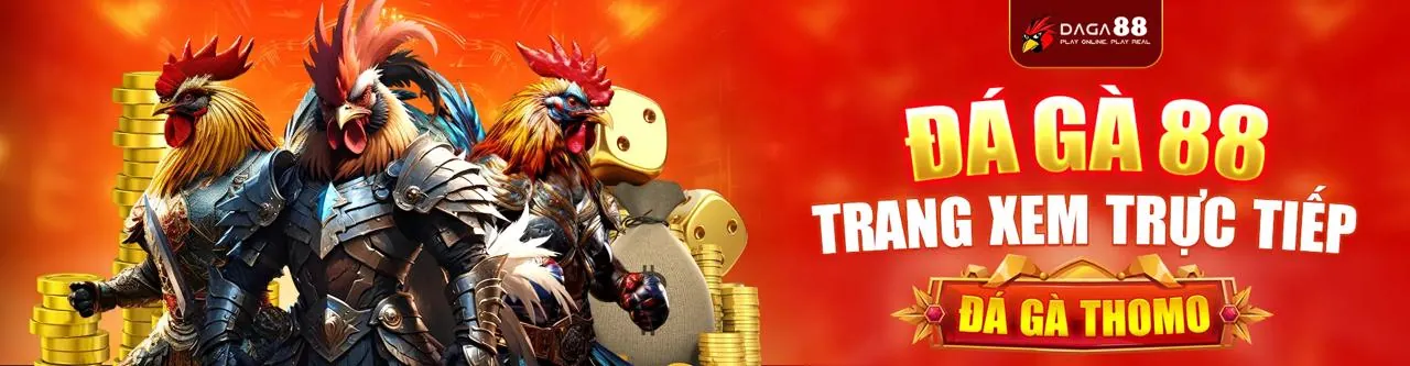 Quyền của người dùng fa8bet casino